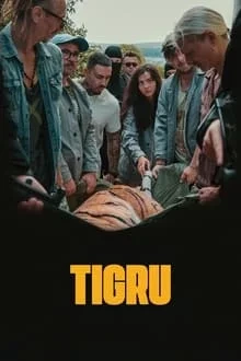 Tigresse